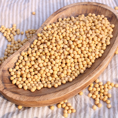 경북 영주 황가네 백태 콩 1kg  (잡곡)