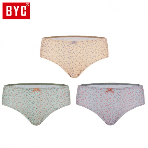 [BYC]여성 미디스판 3매입 삼각팬티(DOLF2088)  (일반/미니팬티(2~5매입))