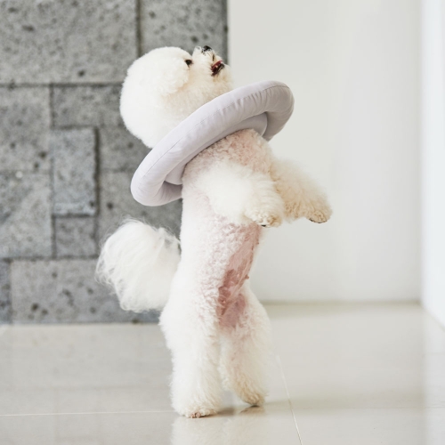 [비타그램] 반려생각 펫카라(M) PT-001M  (위생/배변)
