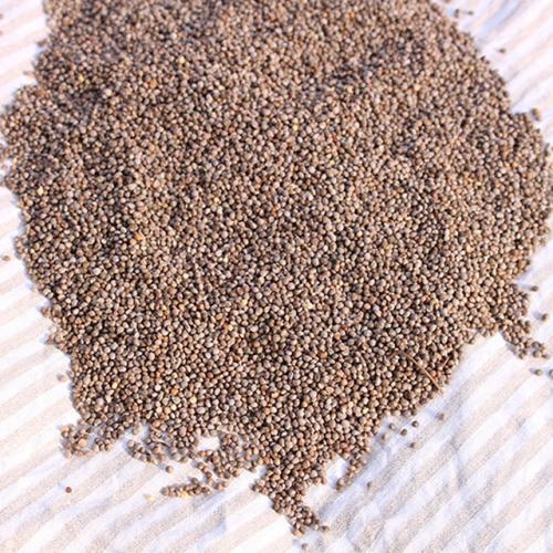 경북 영주 황가네 참깨 1kg  (잡곡)