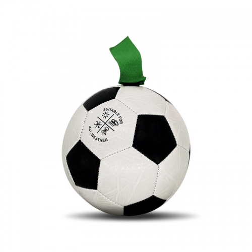 레드퍼피 터그 챔피언 축구공 (18cm)  (장난감)