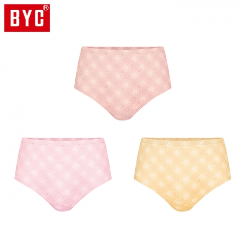 BYC여성 맥시 3매입 삼각팬티 F5353  (일반/미니팬티(2~5매입))