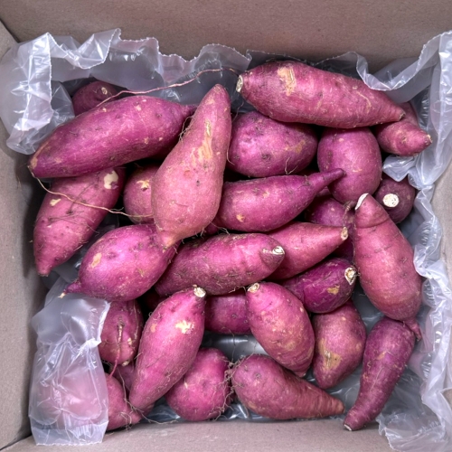 호풍미/풍원미 당근 고구마 한입 3kg  (고구마/감자/옥수수)
