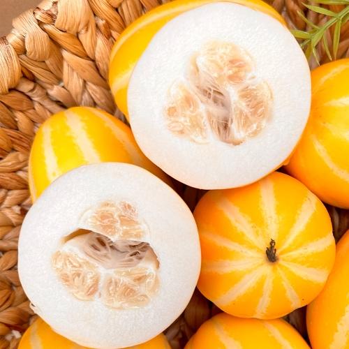 누적판매량 10,000건! 산지직송 당일수확 성주 고당도 꿀 참외 (1kg~5kg)  (과일)