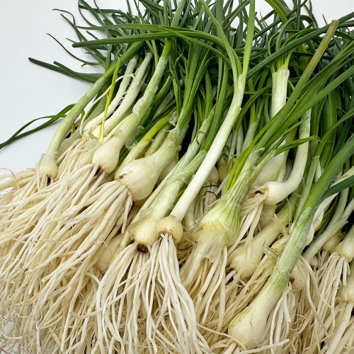 산지직송! 신선한 국내산 봄 제철 생달래 (300g/500g/1kg)  (나물류)