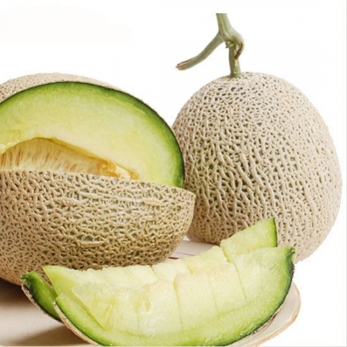 [더기다림_두] 머스크 메론 4kg(2수)  (과일)