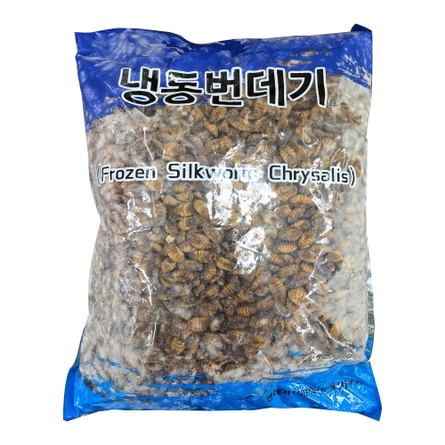 (냉동) 현이푸드빌 번데기 4kg  (통조림/캔/햄/잼)