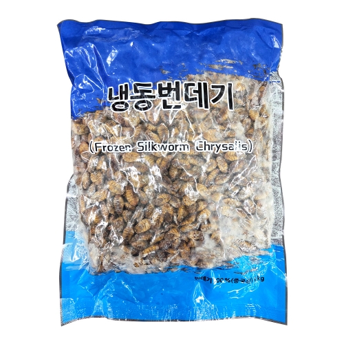 (냉동) 현이푸드빌 번데기 1kg  (통조림/캔/햄/잼)